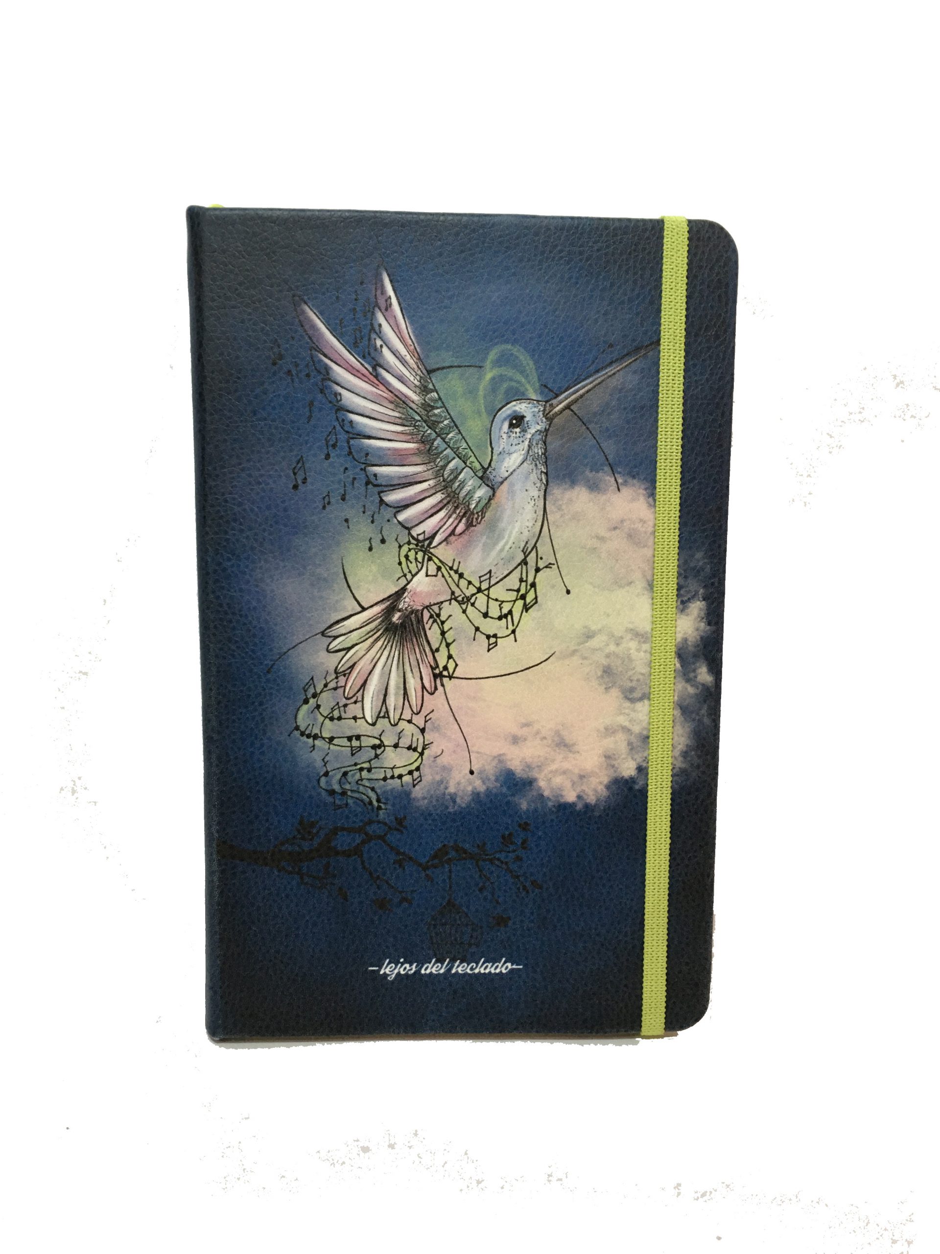 Colibri_Cosida